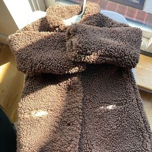 Zara teddy bear coat
